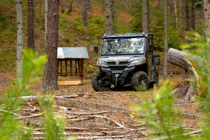 2_DSC3900-2-copy-1-scaled