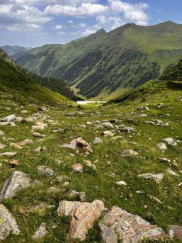 449726420_1000479652087888_2781930169659128720_n