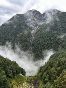 449743946_1001207778681742_2950131827710066230_n