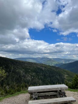 IMG_7924