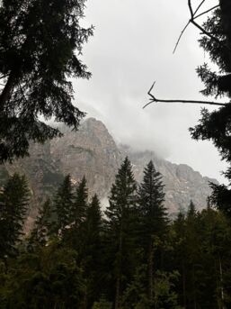 449743856_1001207388681781_4625037853745918287_n