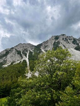 449177617_1000483365420850_2889926696823525752_n