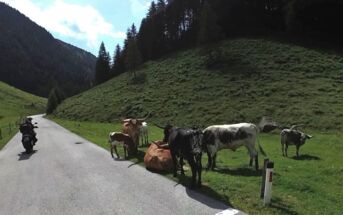 449343644_1000475392088314_2911379696835027786_n