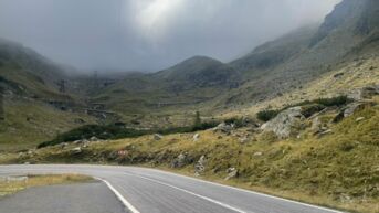 IMG_4403