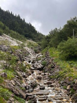 449766421_1001207475348439_8241566819733052400_n